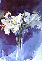 White Lilies, zorn